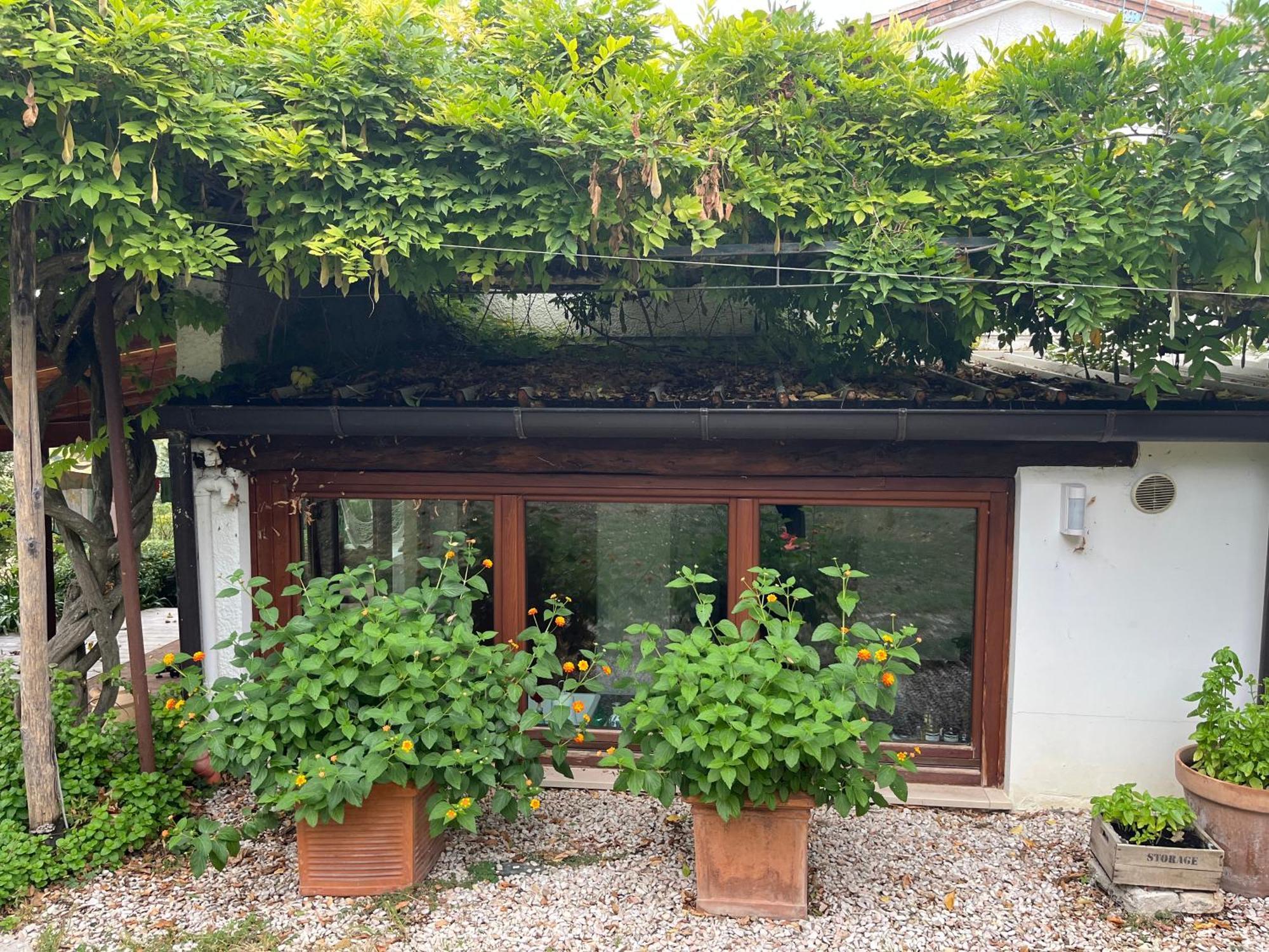 ペザロCasa Sant Angeloアパートメント エクステリア 写真