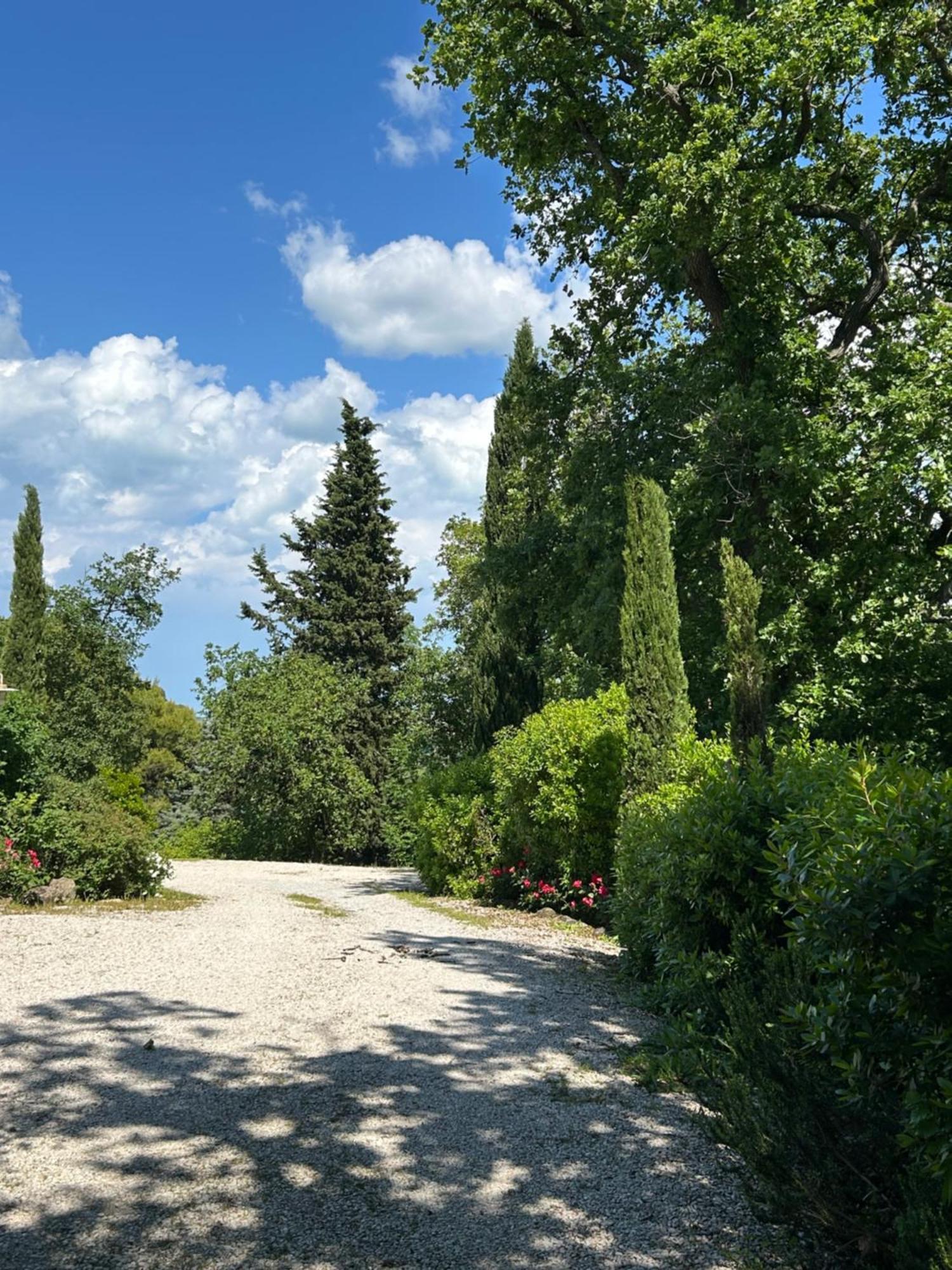 ペザロCasa Sant Angeloアパートメント エクステリア 写真